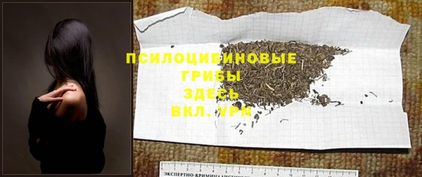 PSILOCYBIN Алексеевка