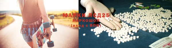 PSILOCYBIN Алексеевка