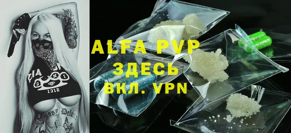 индика Пестово