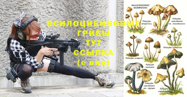 молекула духа Алзамай